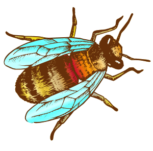 tupelo honey bee